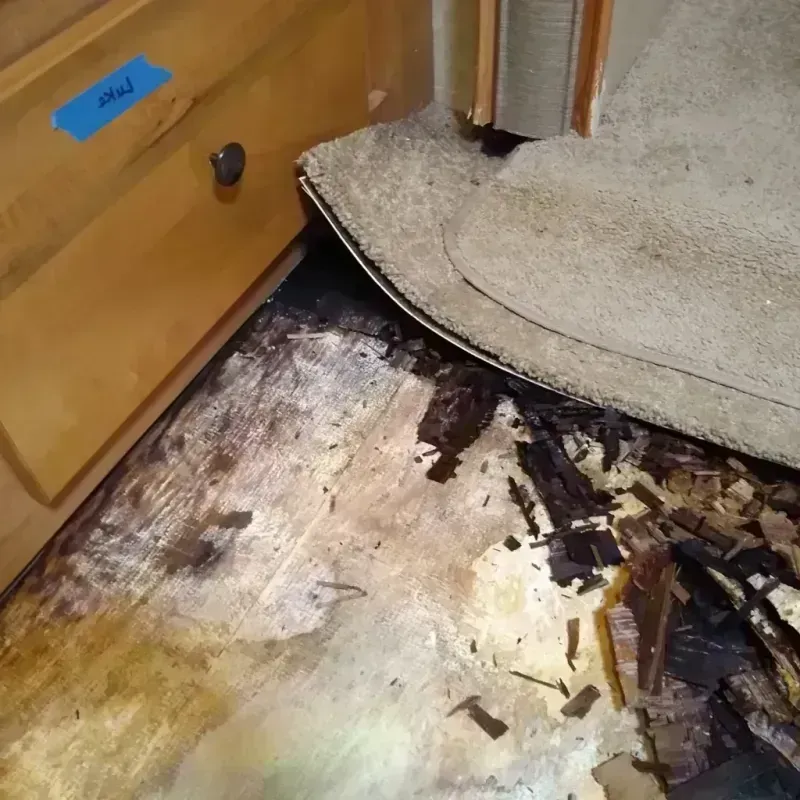 Wood Floor Water Damage in Hernando, FL